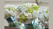 Wedding Venue Decorators