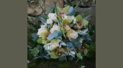 Cochranes Nurseries