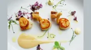 Saffron Caterers